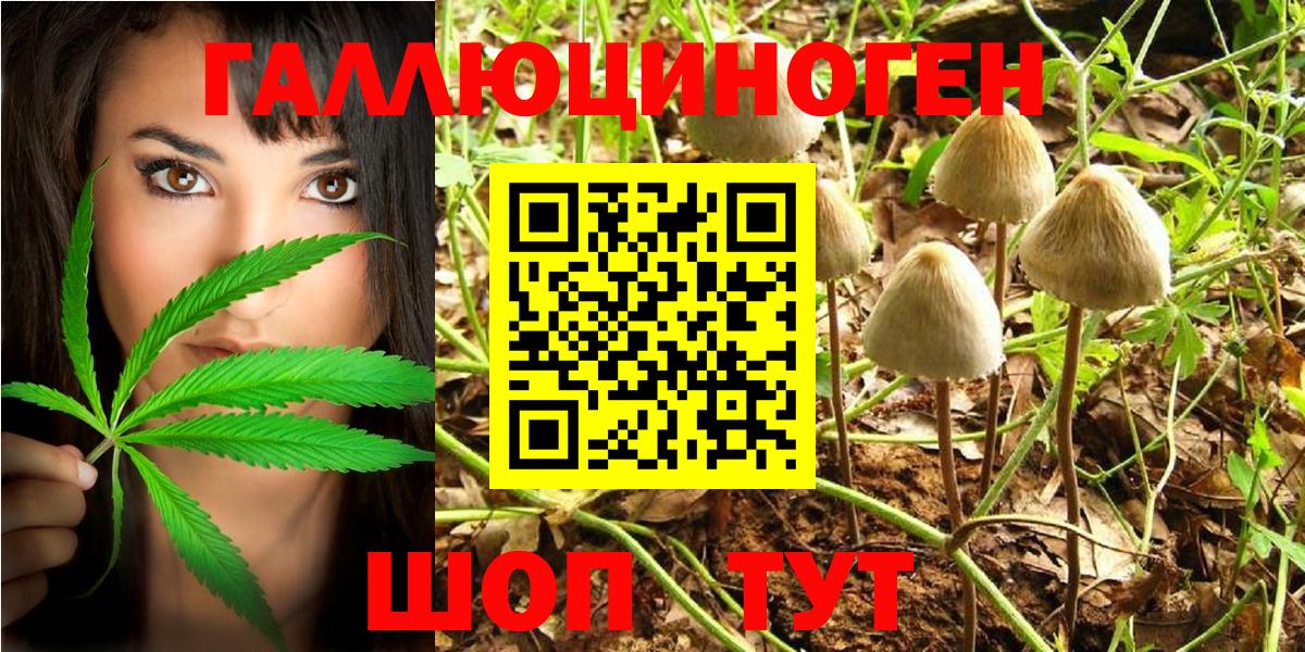 купить закладку  Псилоцибиновые грибы Magic Shrooms  Вход с VPN  Галлюциногенные грибы GOLDEN TEACHER  Похвистнево 