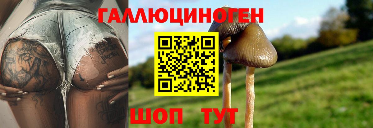 Псилоцибиновые грибы мицелий Похвистнево